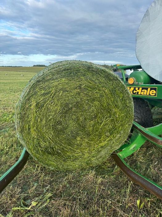 Sianokiszonka 800szt lucerna i koniczyna z trawą. Transport