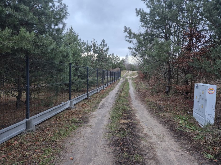 Sprzedaż I montaż paneli 3d,2d,palisady I siatki oraz drewniane