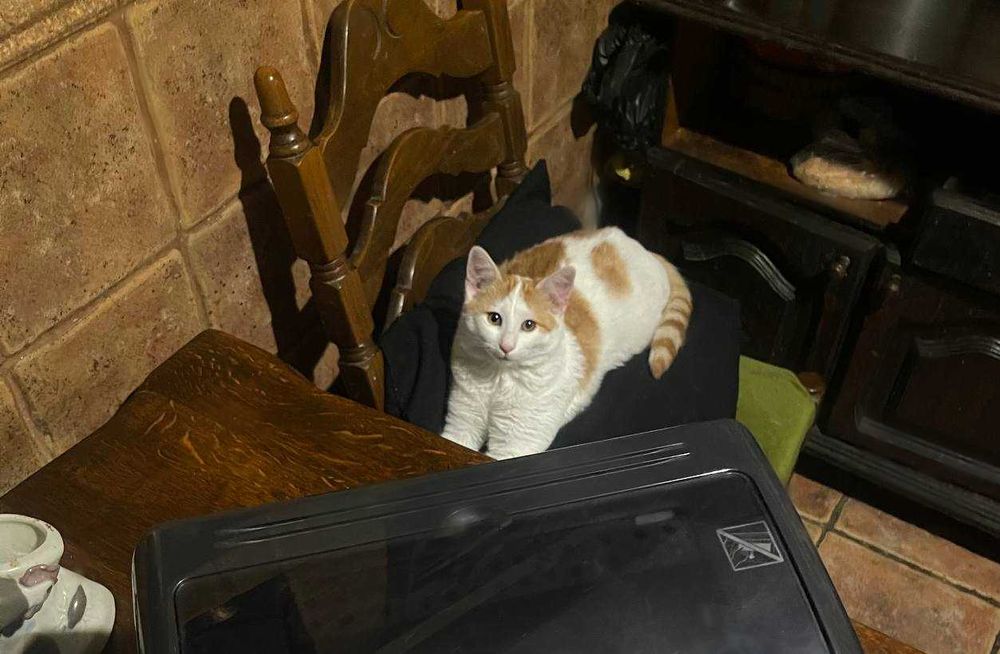 Принтер Canon i-SENSYS LBP3010B