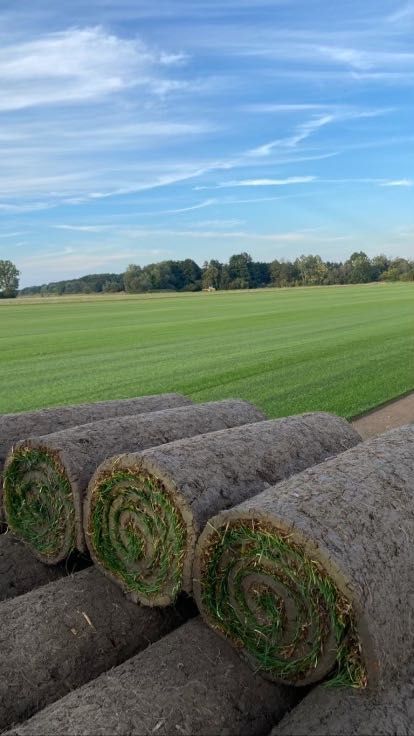 Trawa w rolce - Producent, Paszport Roślin