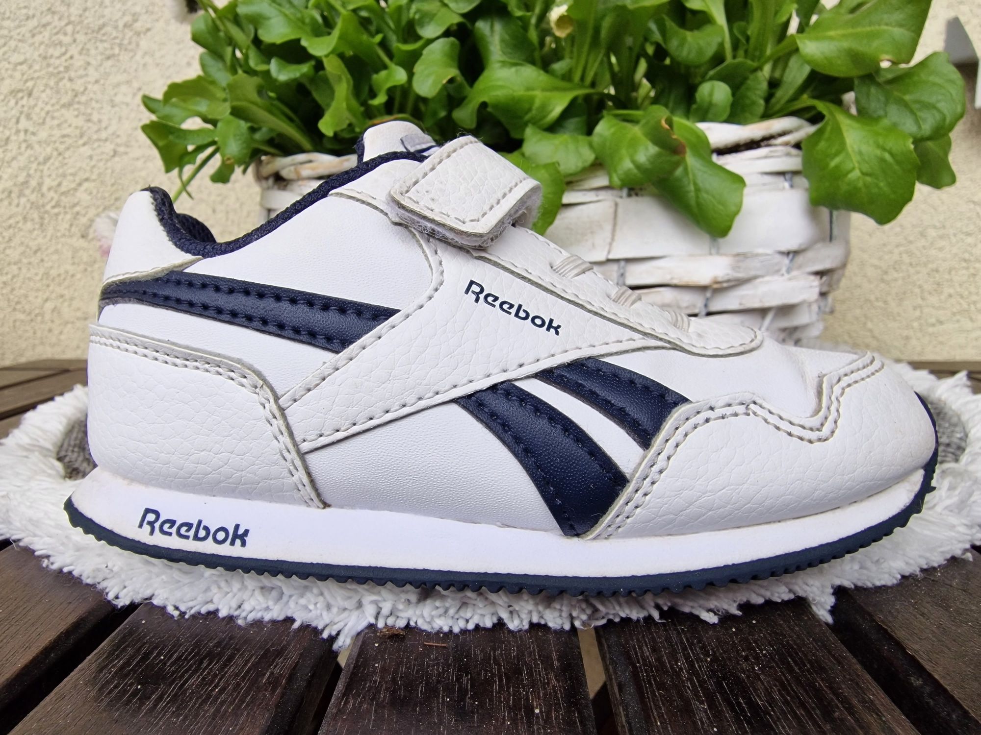 Oryginalne Reebok classic 24 klasyka jak Adidas Superstar