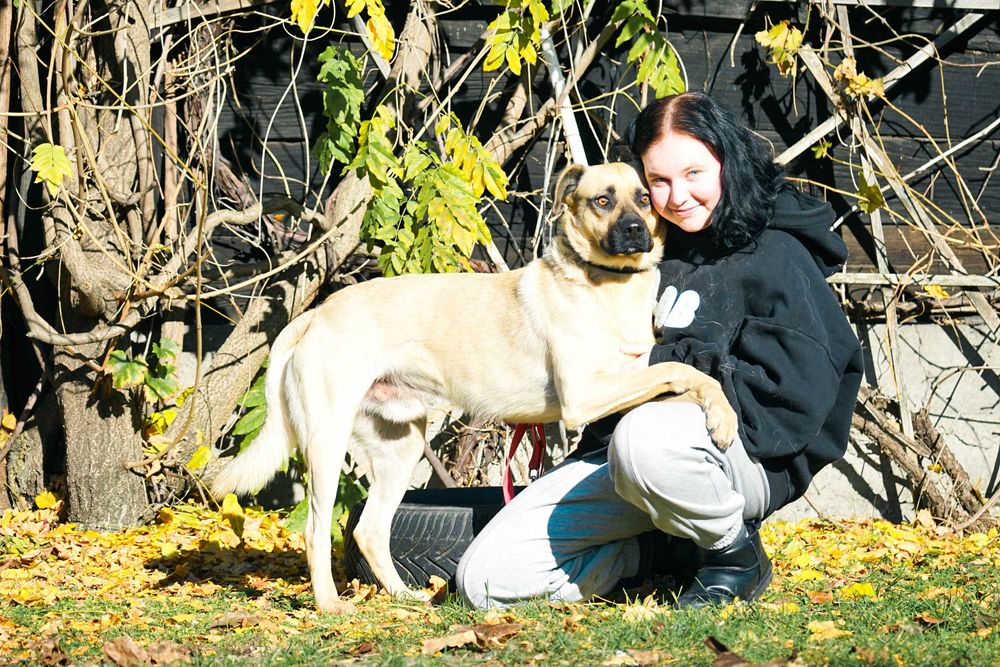 Frodo - piękny, duży pies