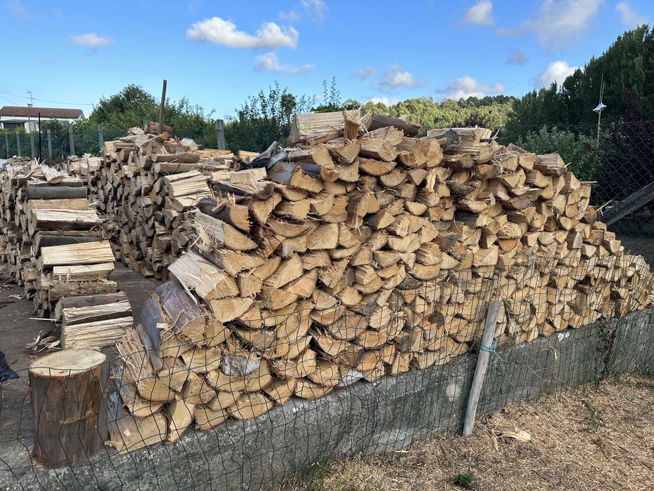 Madeira eucalipto seca pronta para entrega