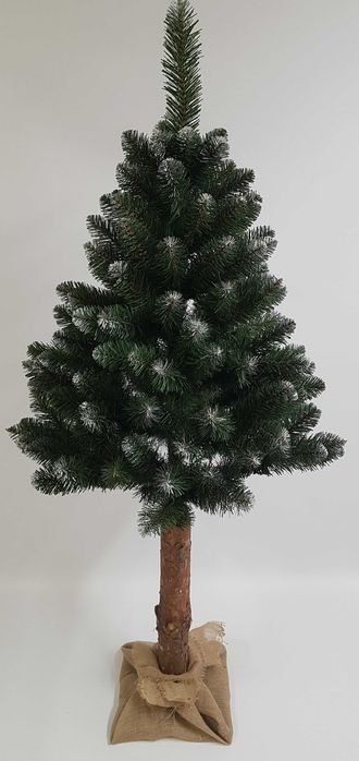 Naturalny sosnowy pień do choinki na pniu wys. 70 cm, śr. 9 cm