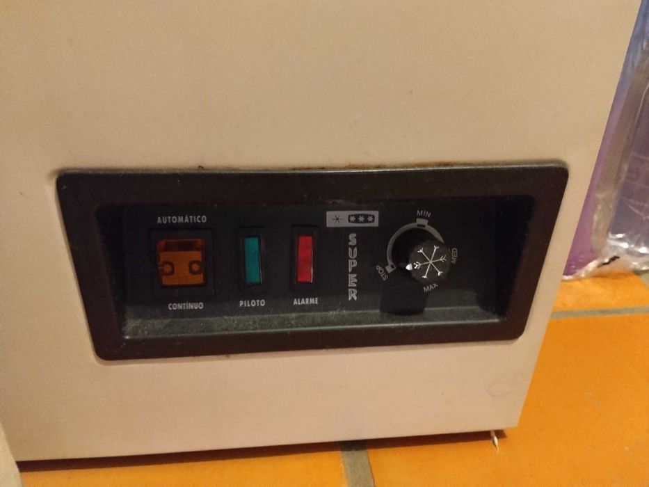 Arca Congeladora Frivouga 255L — Excelente Estado (Como Nova)