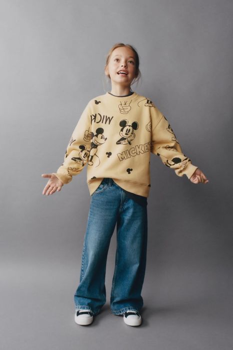 Кофта, светер, худі, світшот ZARA