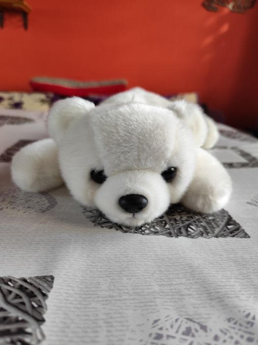 Kolekcjonerski The Beanie Buddies Collection 1998 Bear miś niedźwiedź