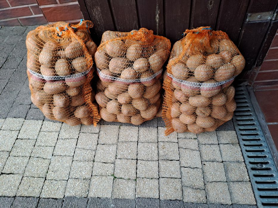 Ziemiaki jadalne vineta denar bellarosa