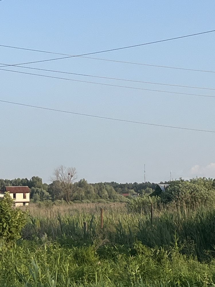 Продаж ділянки Підгірці Романків 10 соток біля с/т Мрія 2