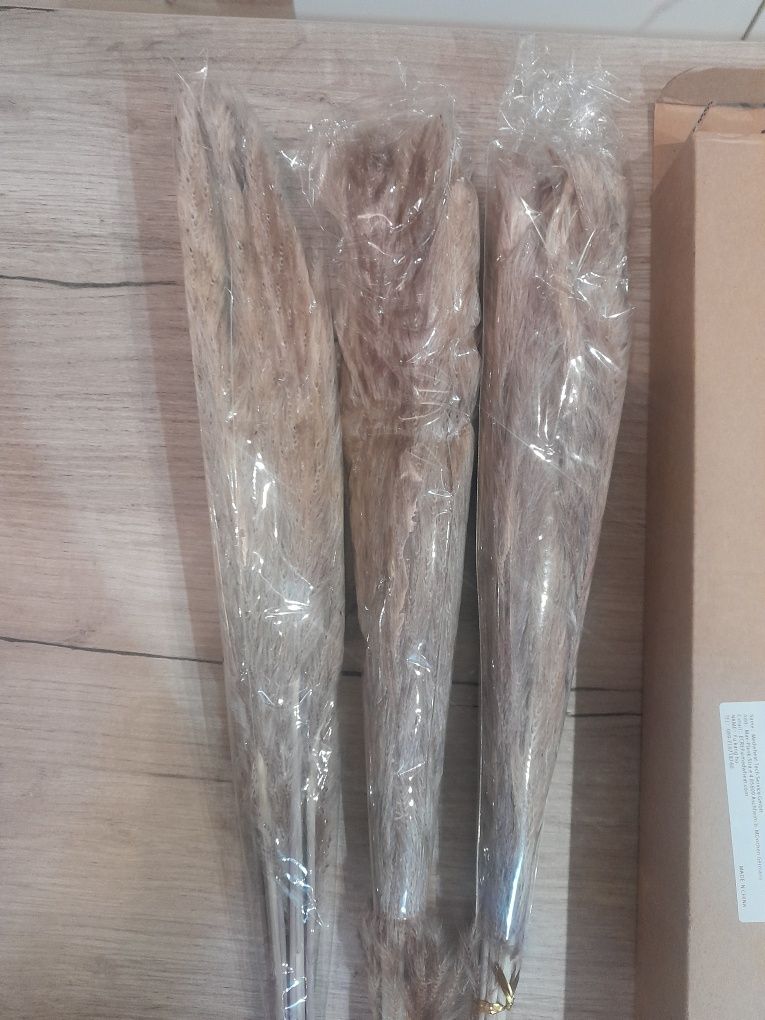 Naturalna trawa pampasowa 45szt ok. 55cm dekoracja boim