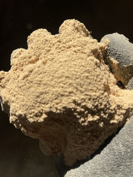 Мука дуб твердих порід (дуб)