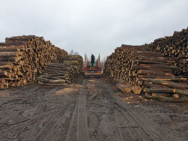 Drewno opałowe - transport gratis