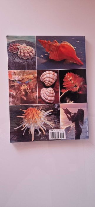 Florida's Fabulous Seashells: And Other Seashore Life (Livro)