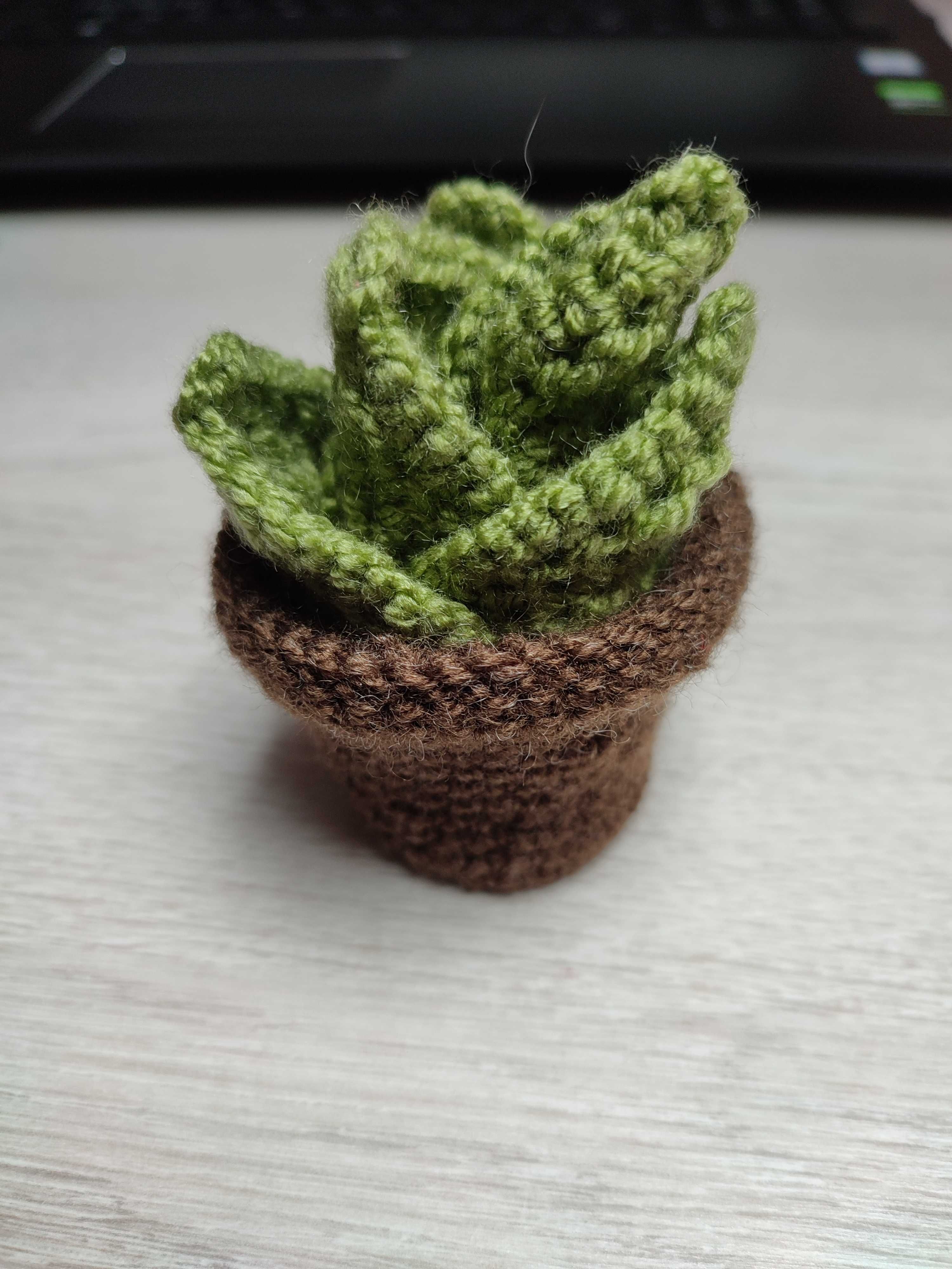 Roślinka w doniczce zrobiona na szydełku handmade