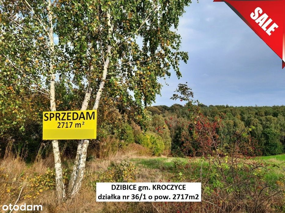 Sale -10% Jura tania działka przy asfalcie 2717m2, cena tylko 74.900zł