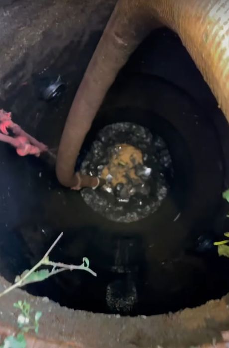 Мулосос, илосос, чистка септика від мулу, викачка, выкачка