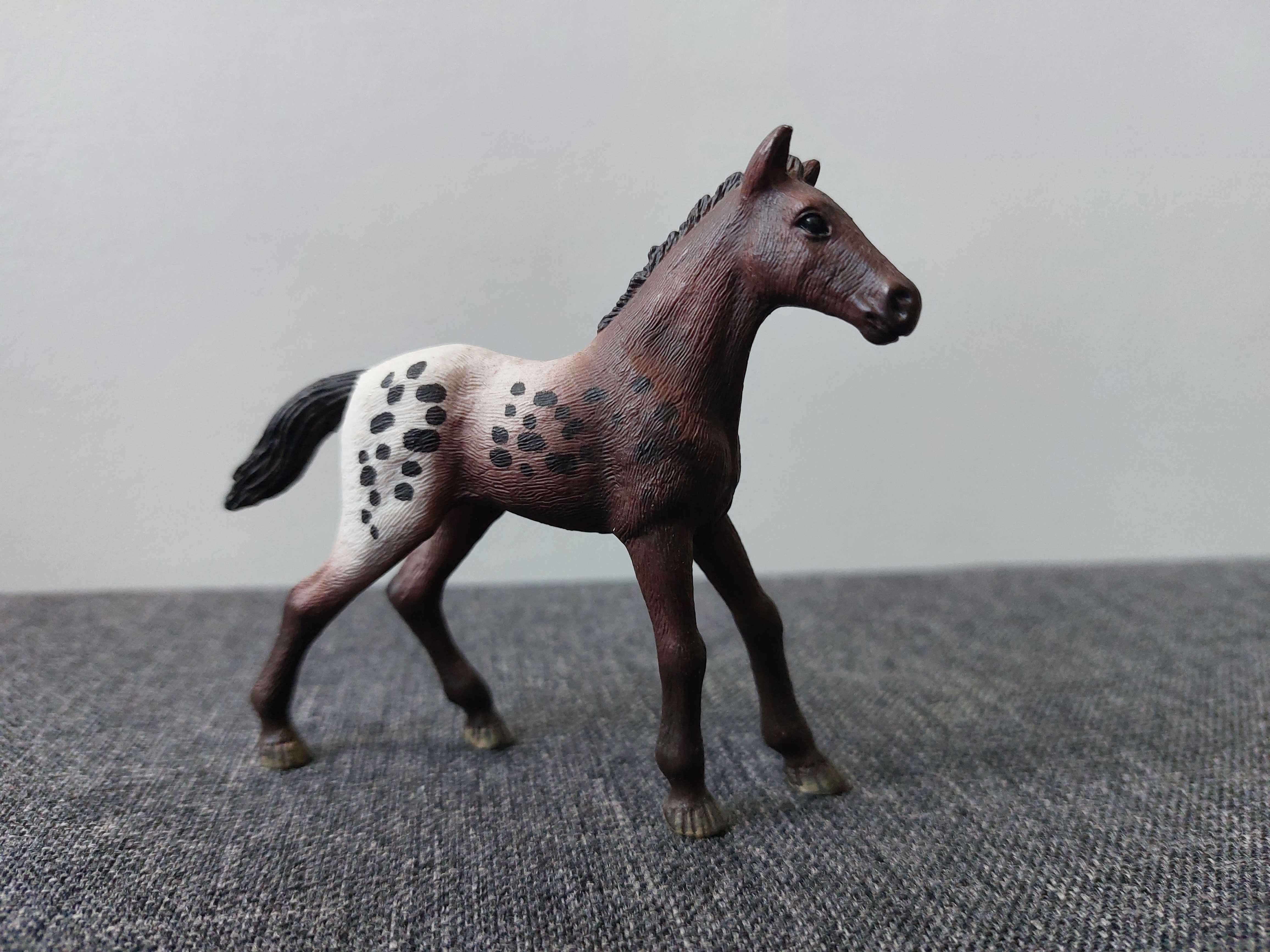 Źrebak Appaloosa Schleich