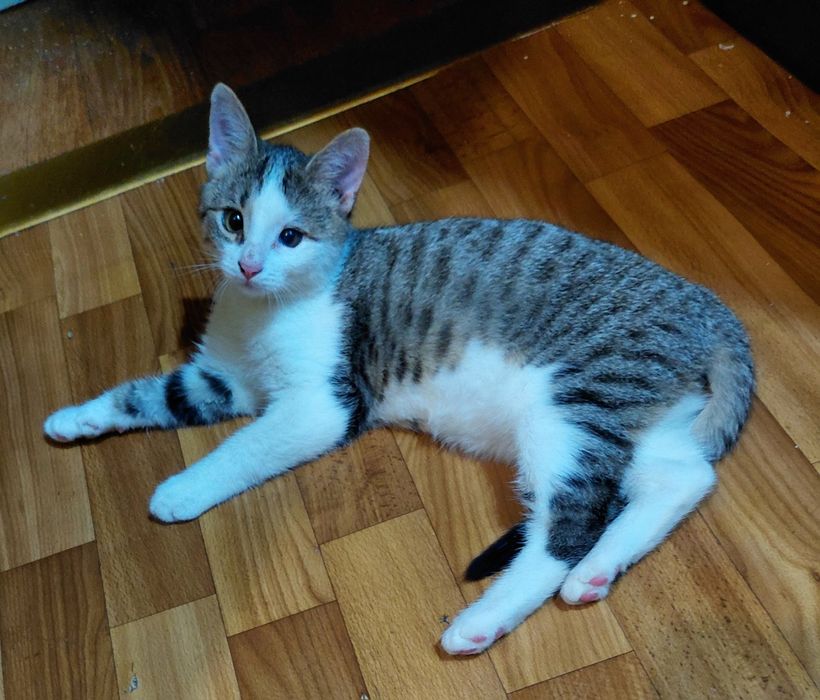 Хлопчик шукає родину!