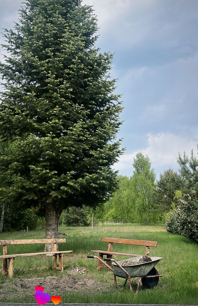 Działka rekreacyjna z domkiem nad Zalewem Próba