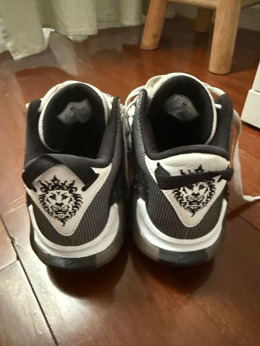 Nike Lebron Witness 7 EP