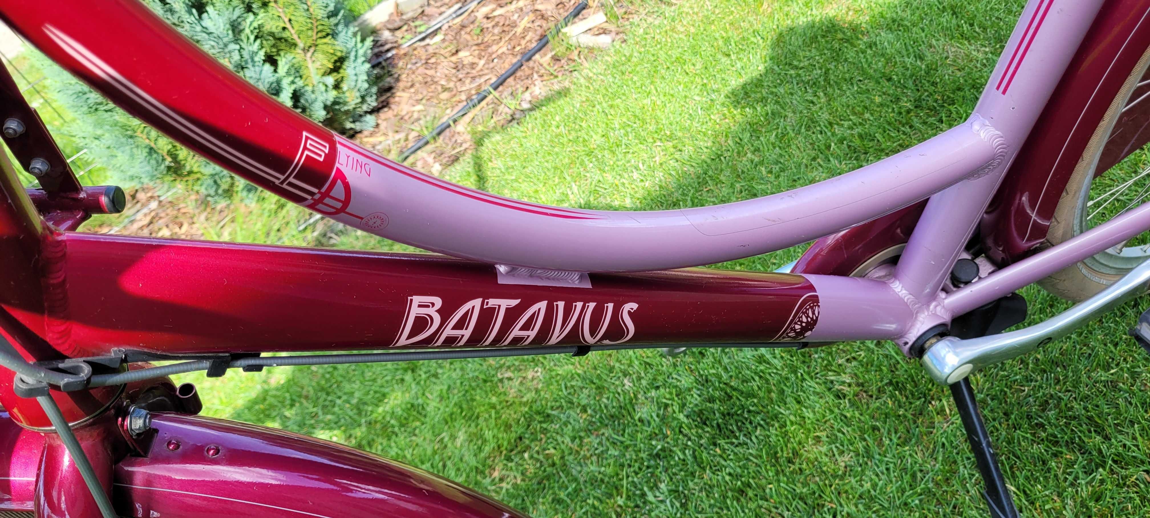 Rower Batavus ###