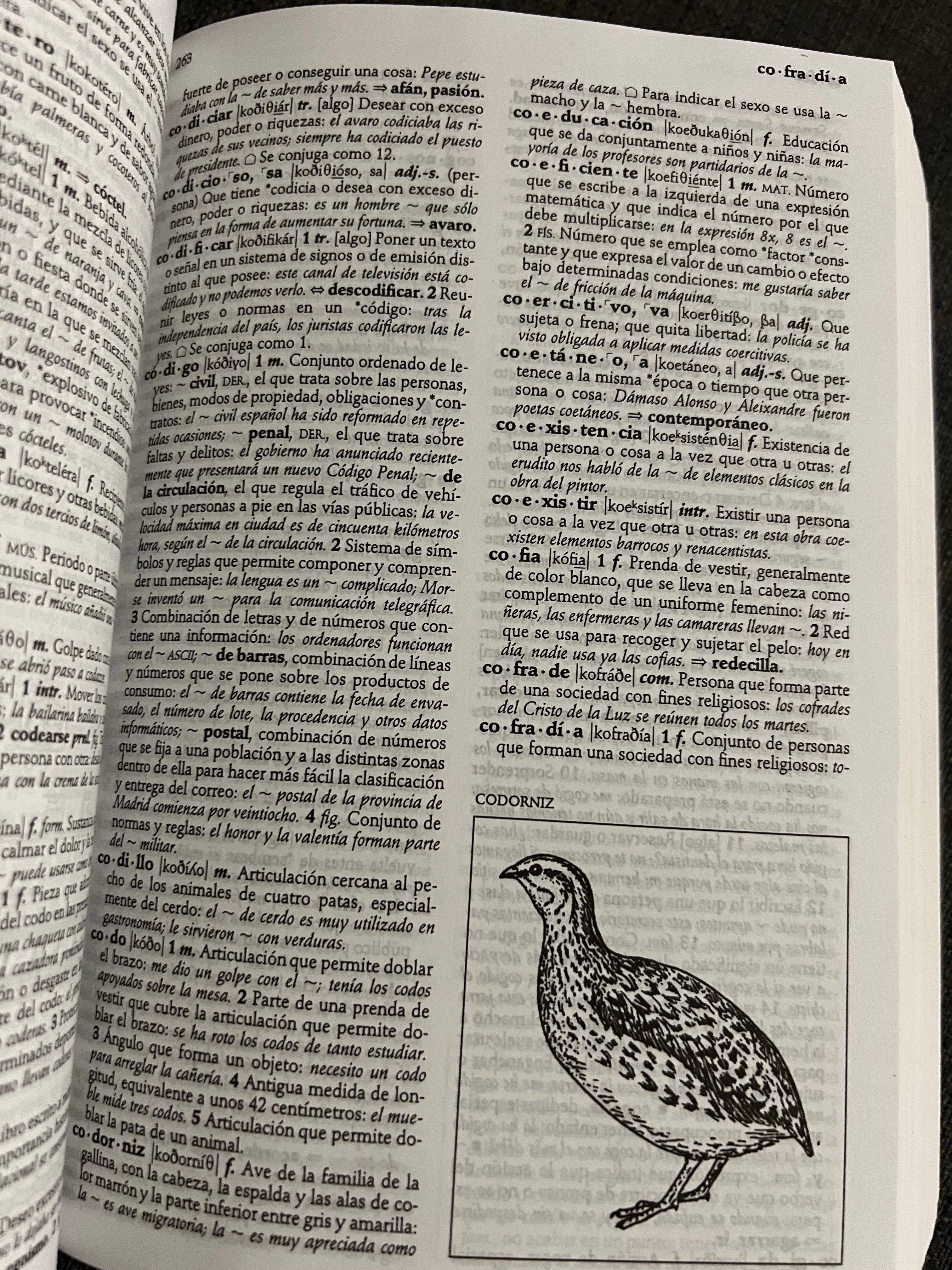Dicionários e gramáticas de espanhol