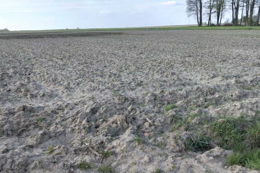 Działka BUDOWLANA 5924 m² - Latowicz - MIŃSK Maz. - WARUNKI ZABUDOWY