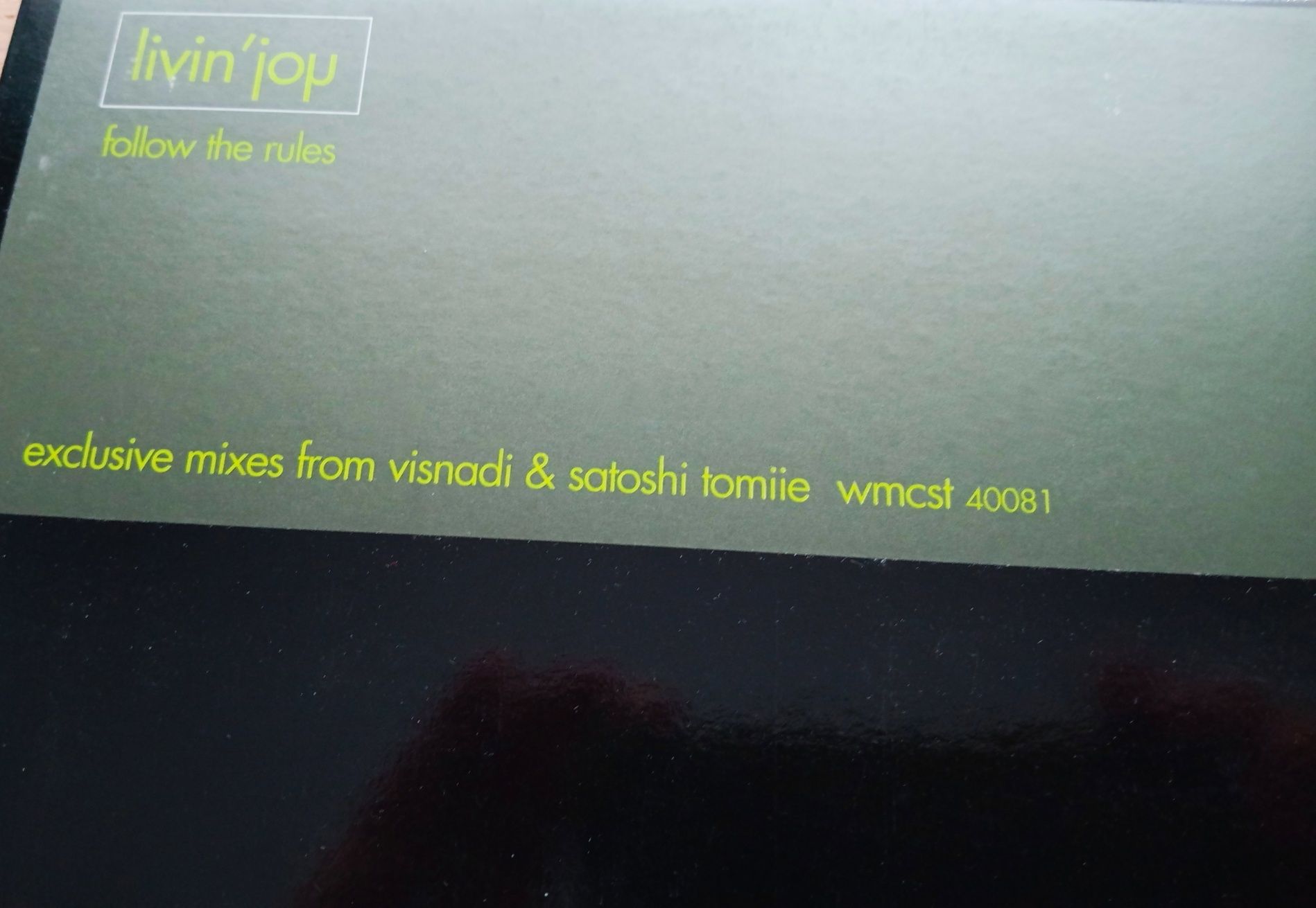 Livin Joy - Follow The Rules (2xVinyl z Visnadi & Satoshi Tomiie mixes