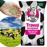 Trawnik Trawa Dla Krów Pastwiskowa Na Suche Tereny Łakowa Na Pastwiska