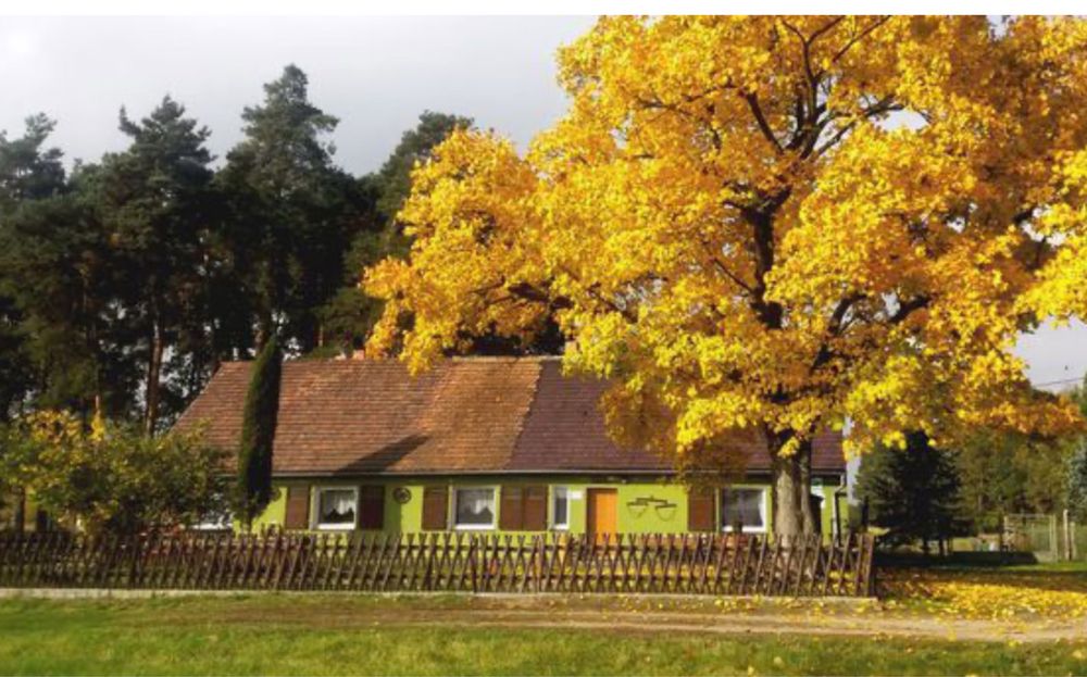 Sylwester i Święta  2025 agroturystyka chata myśliwska