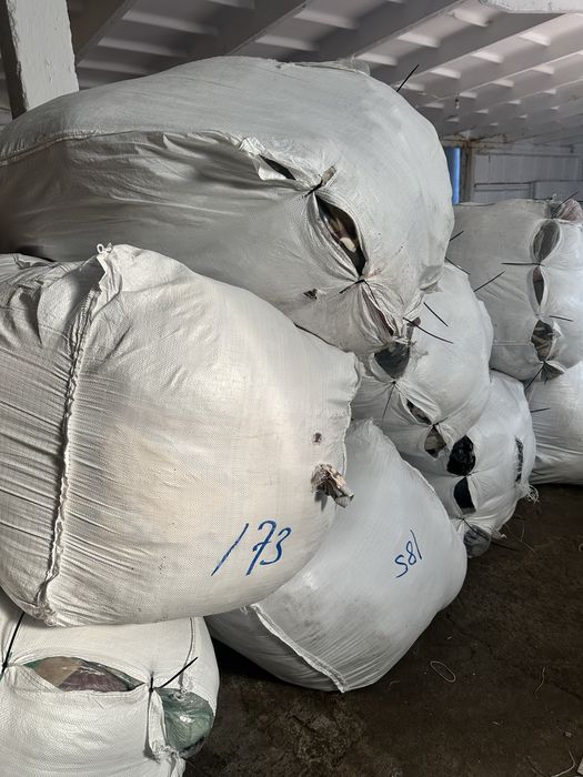 Odzież używana DANIA hurt