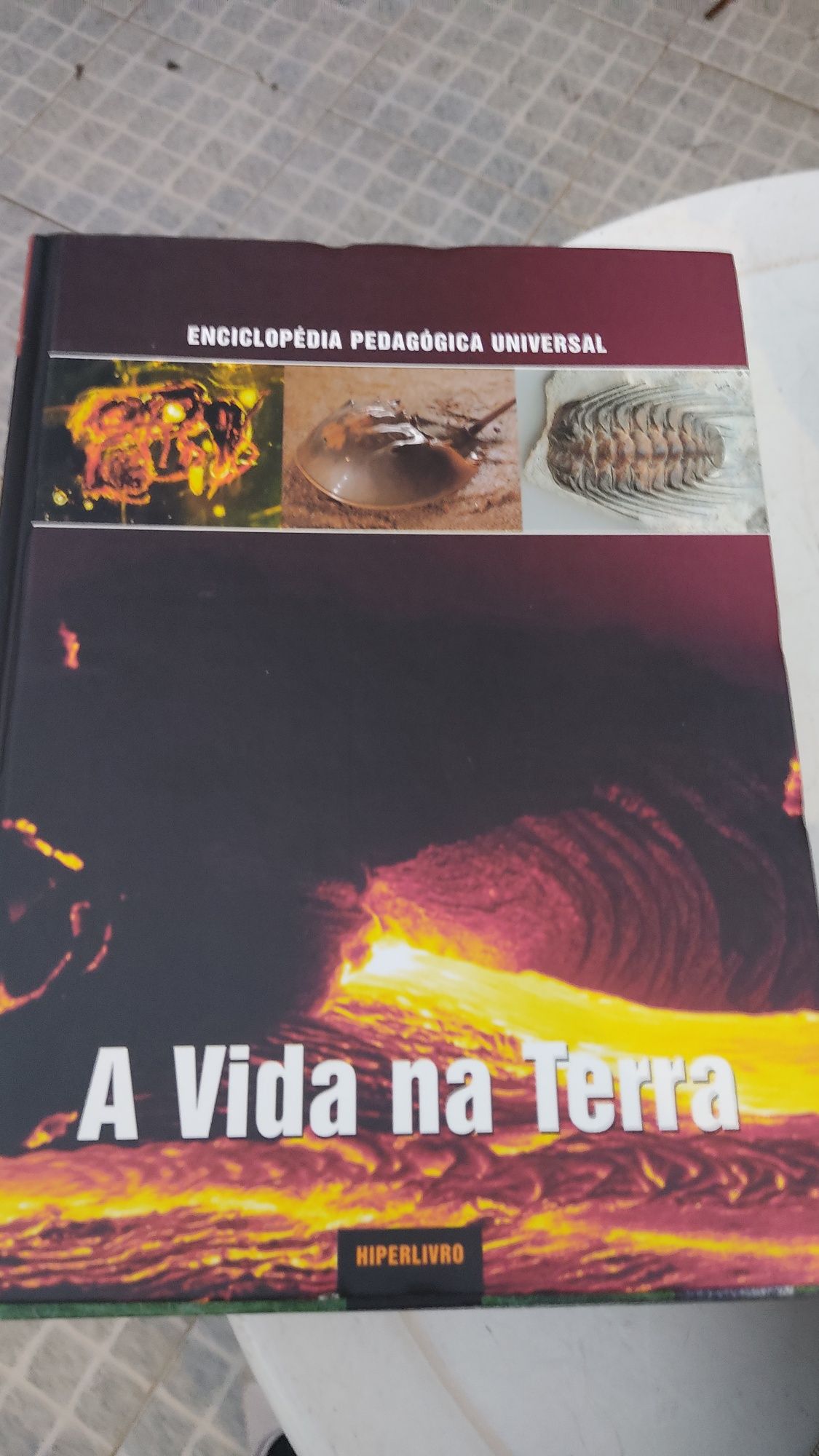 Enciclopédia pedagogia universal