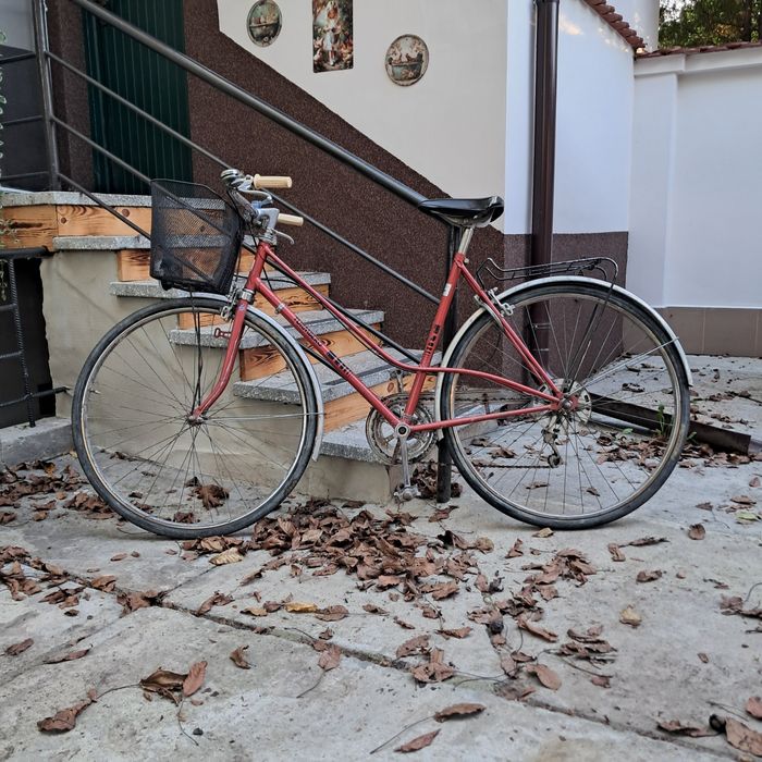 Turmberg damka z koszykiem