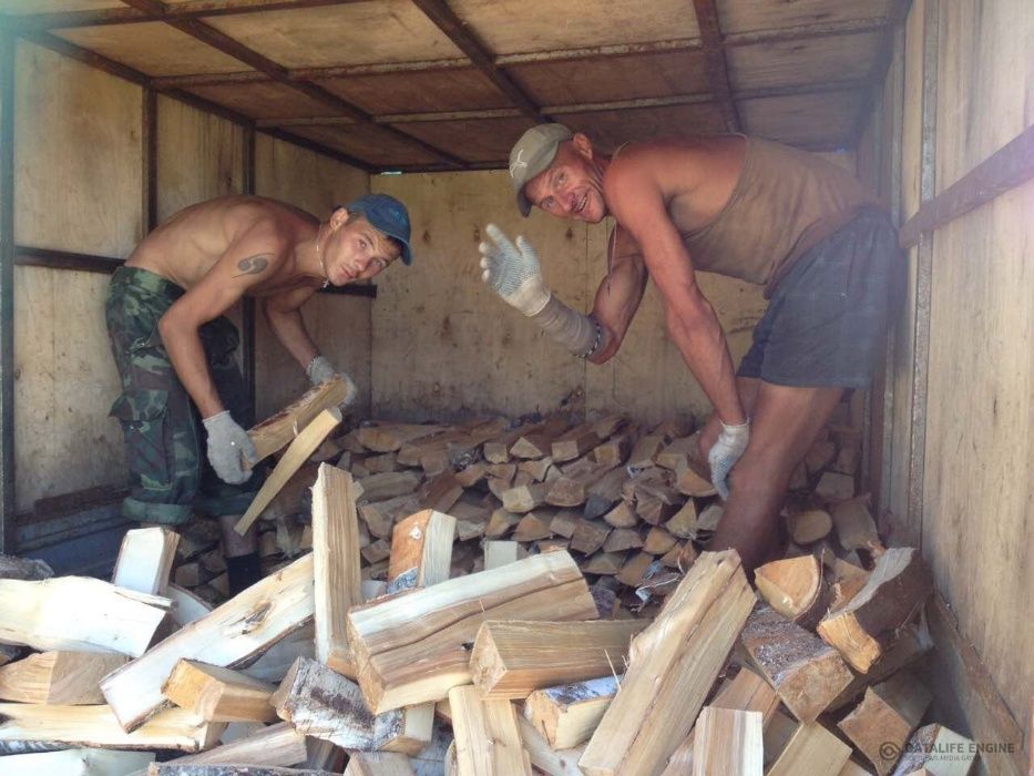 Дрова колоті сосна береза дуб акація Дрова дубові Дрова соснові осика