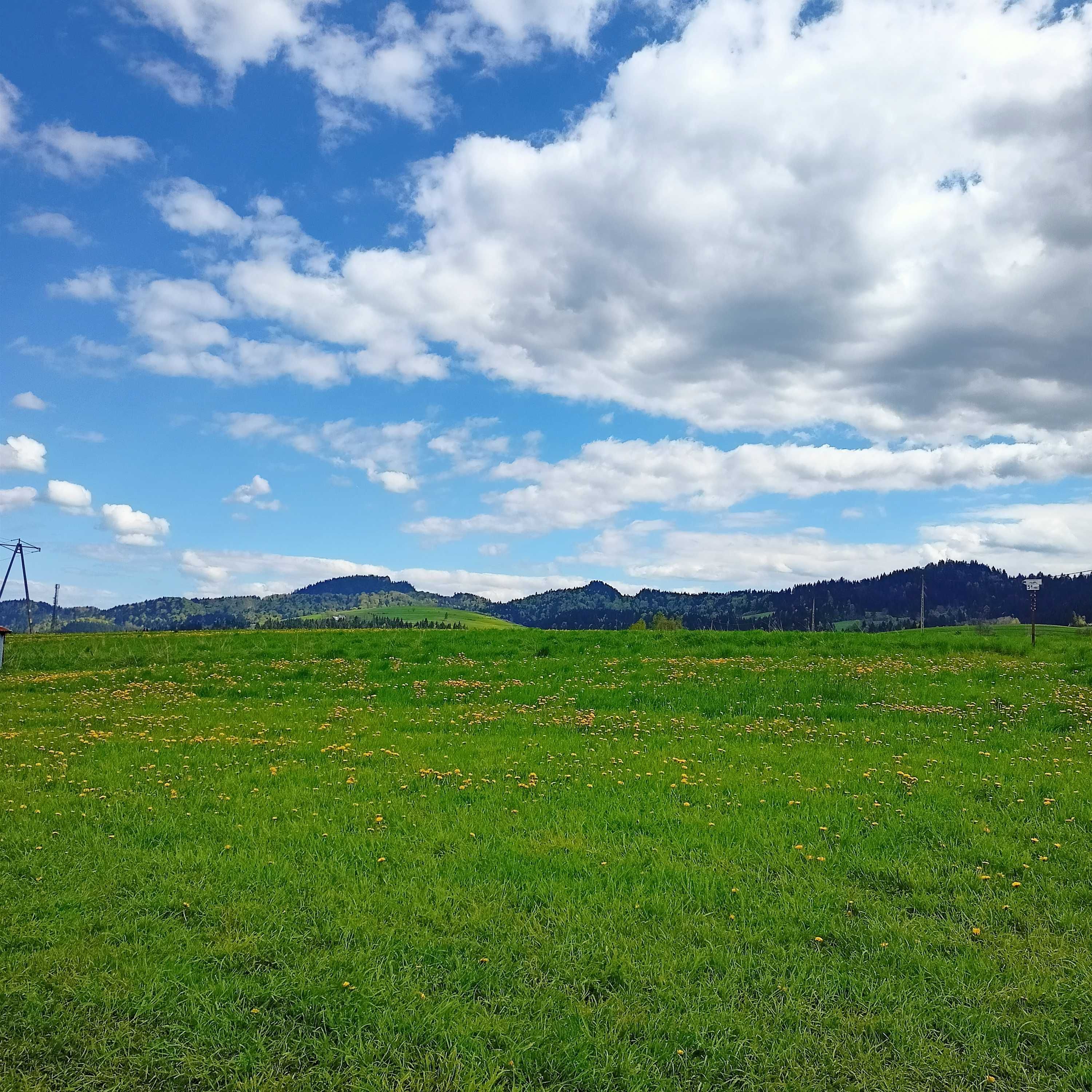 Duży domek z altanką i grillem na wyłączność ,GÓRY, PIENINY