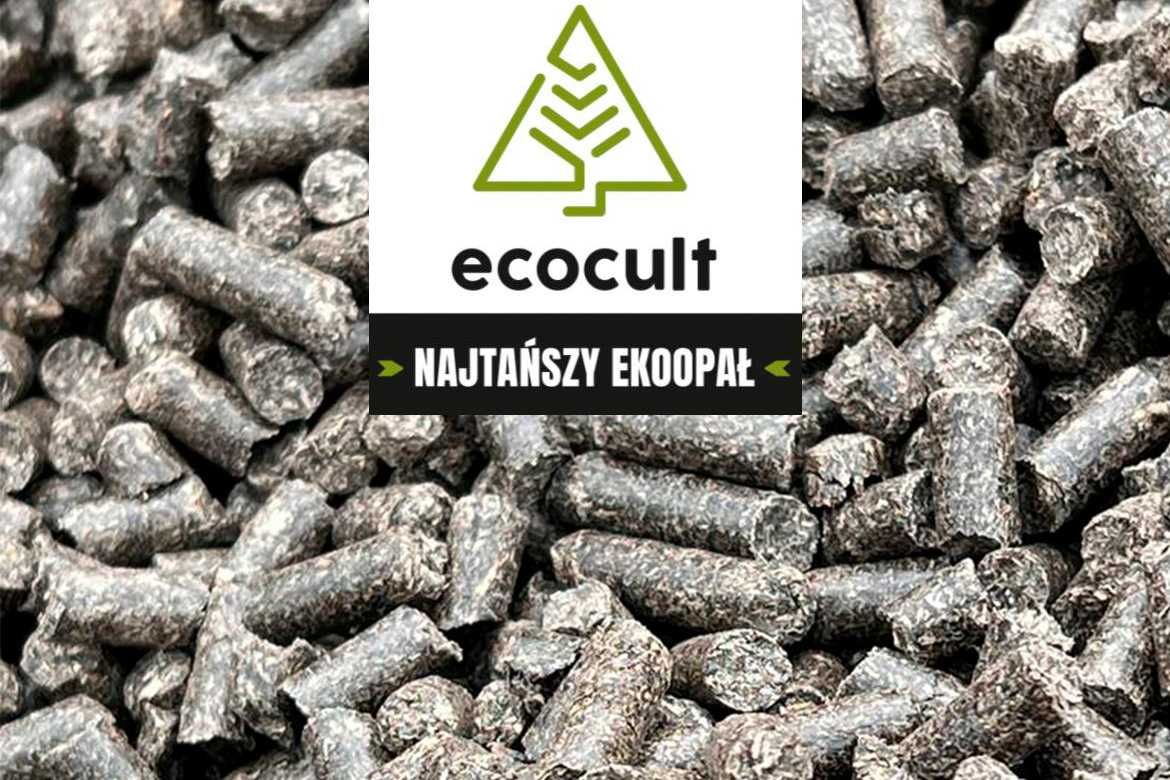 Pellet z łuski słonecznika BIG BAG/workowany - od 520 zł z dowozem