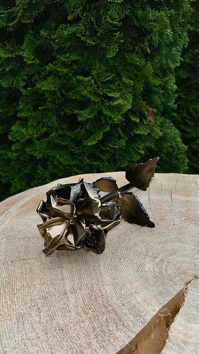 *Metalowa Róża* *Wieczna Róża*