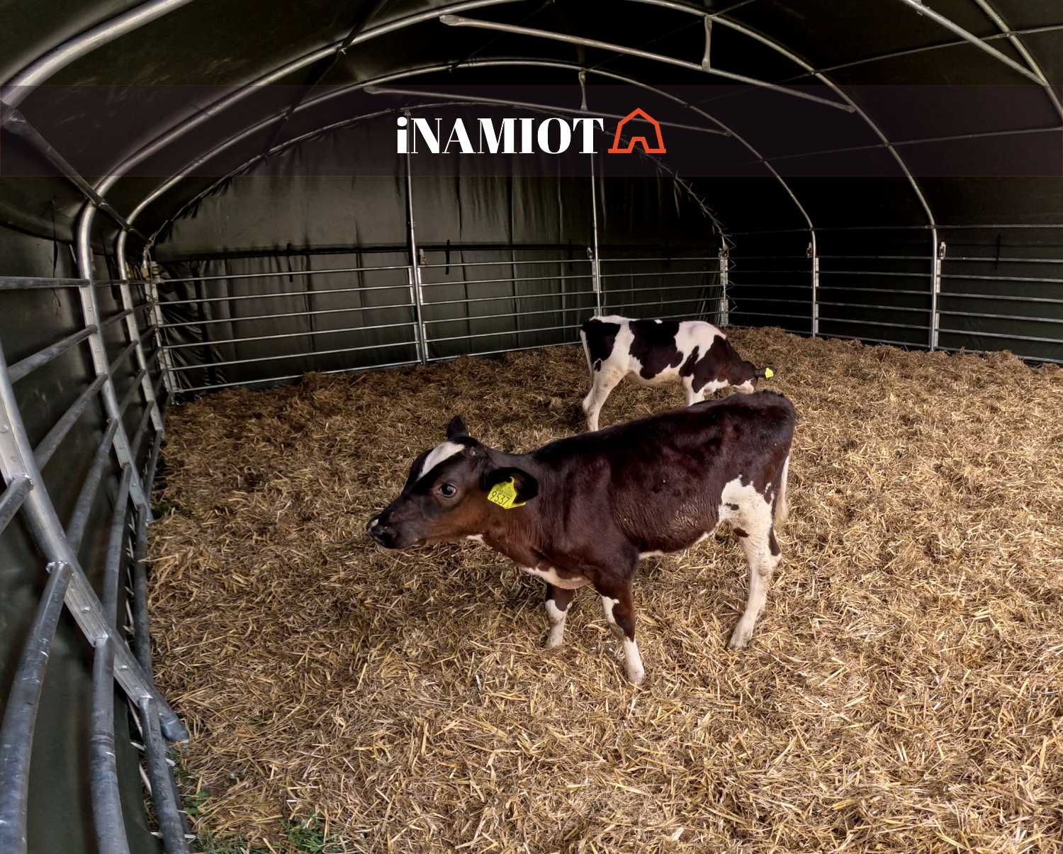 Zagroda Dla Zwierząt Premium 8x8 PVC 900g ocynkowana stal, wiata