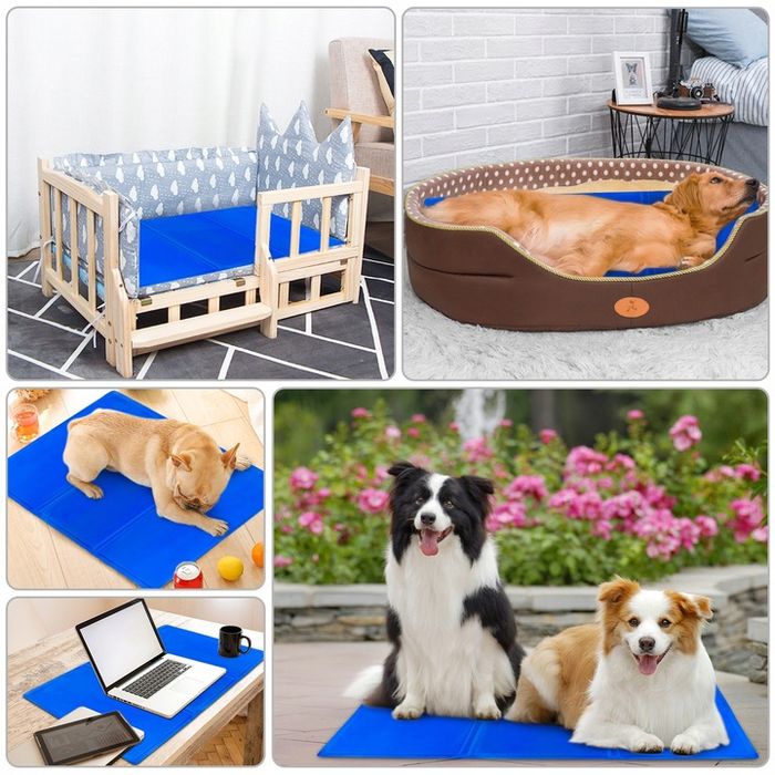 Mata Chłodząca Dla Psa Kota Legowisko Żelowa Xxl