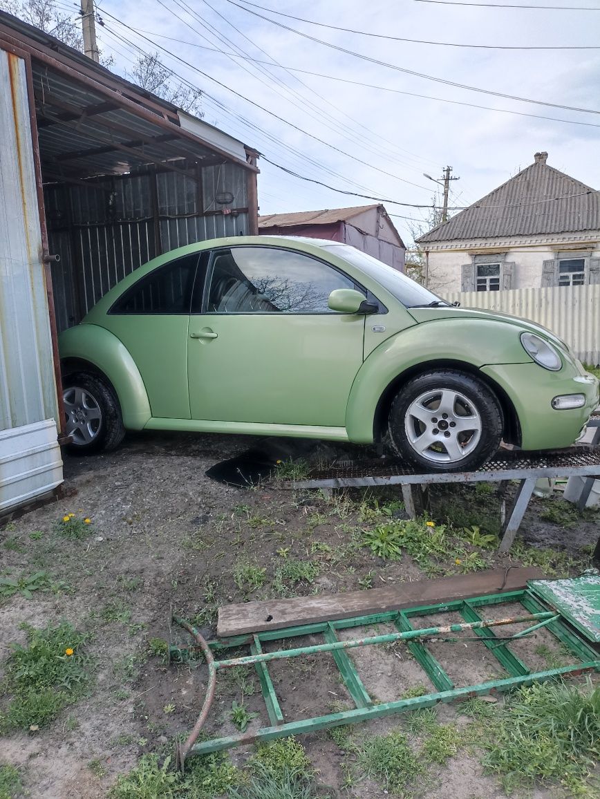 Volkswagen beetle