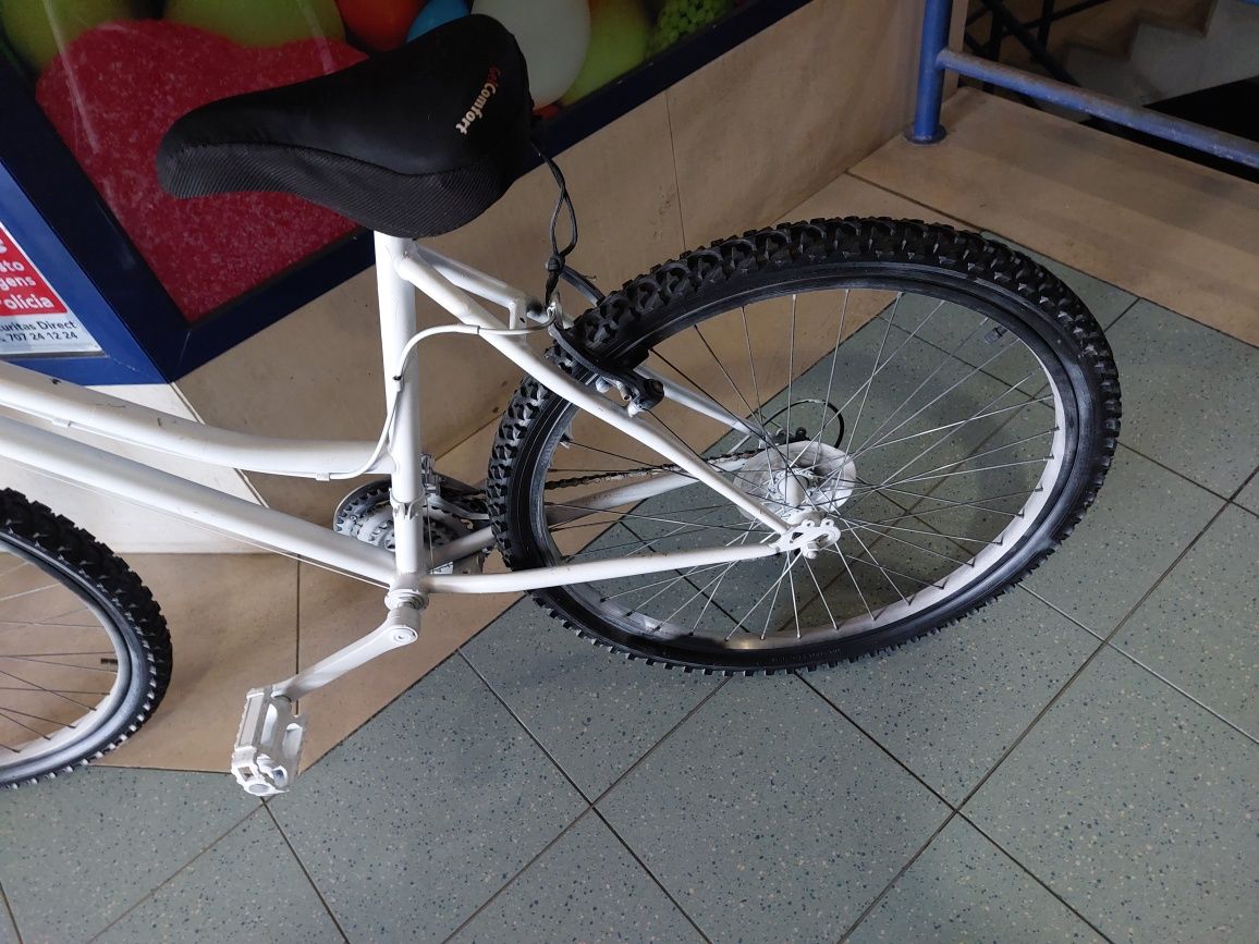 Bicicleta passeio