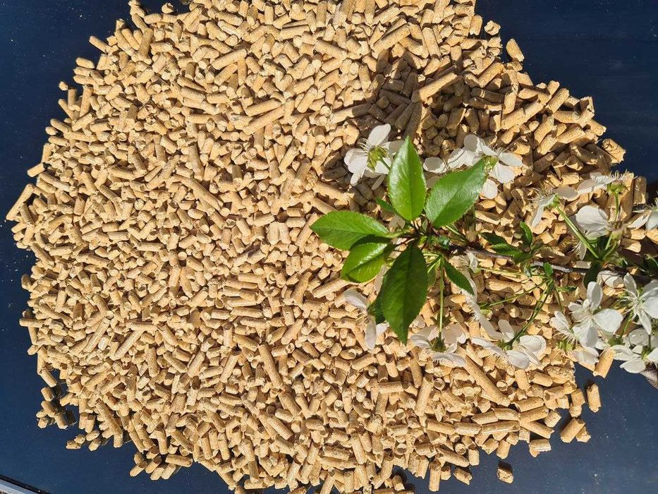 Безкоштовна доставка Київ. Наповнювач котячий деревний та бентонітовий