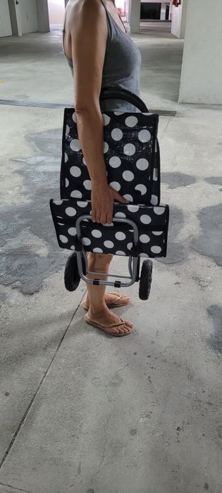 Saco de compras com rodas
