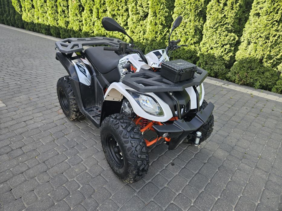 Quad Kayo 200cc Homologacja T3B