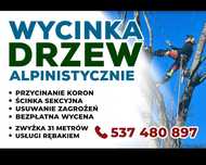 Wycinka Drzew Ścinka Rębak Dostęp Linowy Zwyżka