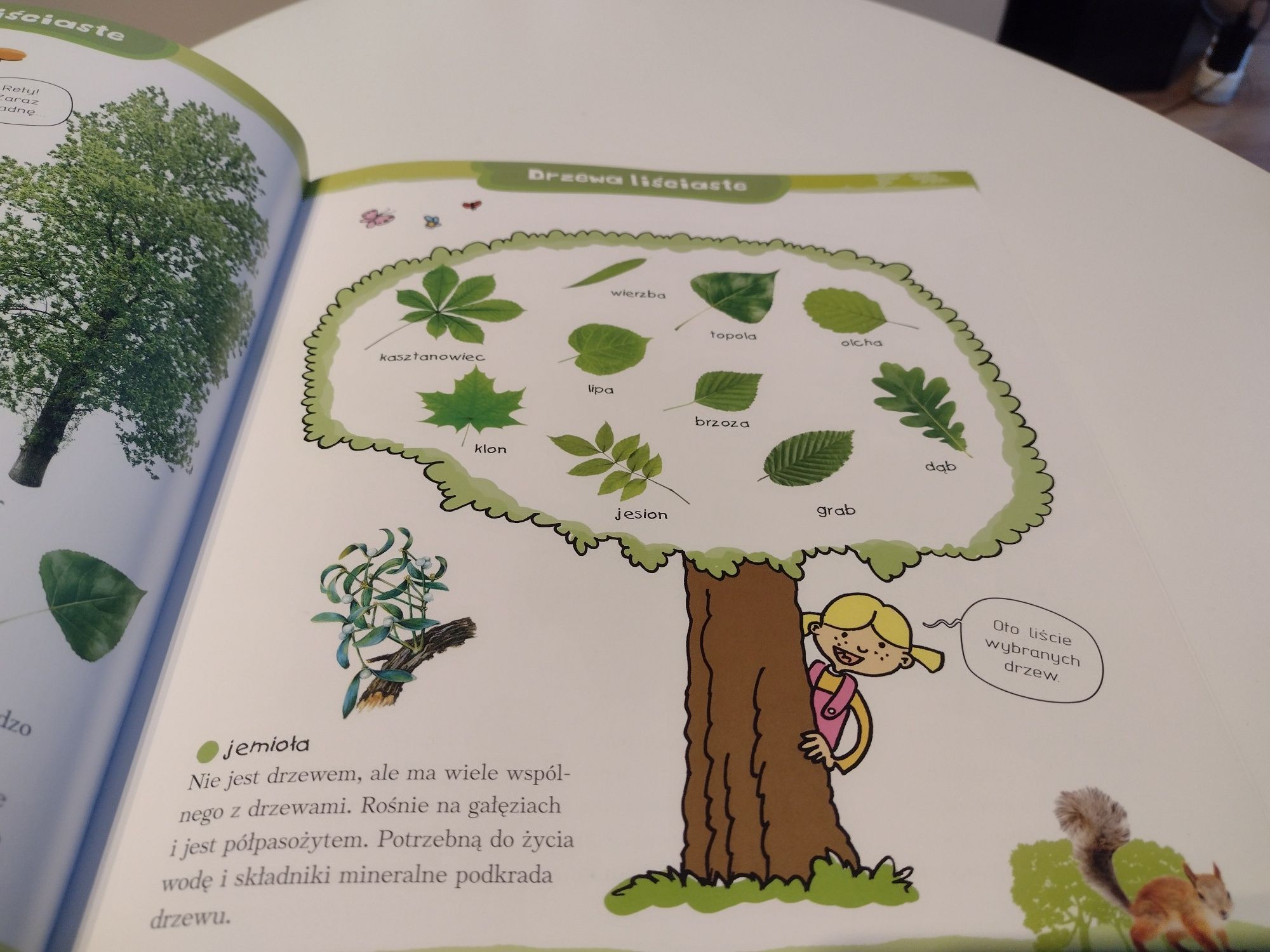 Atlas przyrodniczy dla dzieci zwierzęta i rośliny Polski