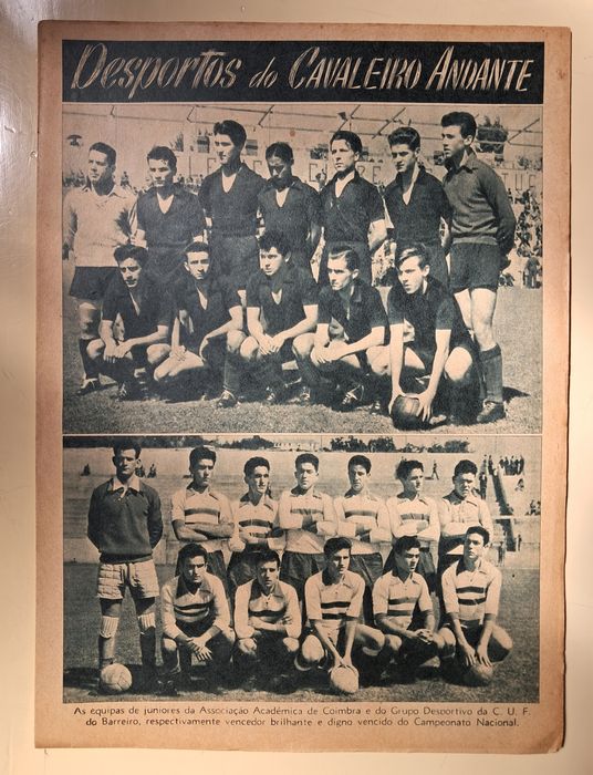 Cavaleiro Andante Várias Separatas.