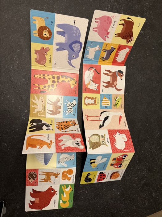 Rozkładane książeczki CzuCzu 100 pierwszych słów