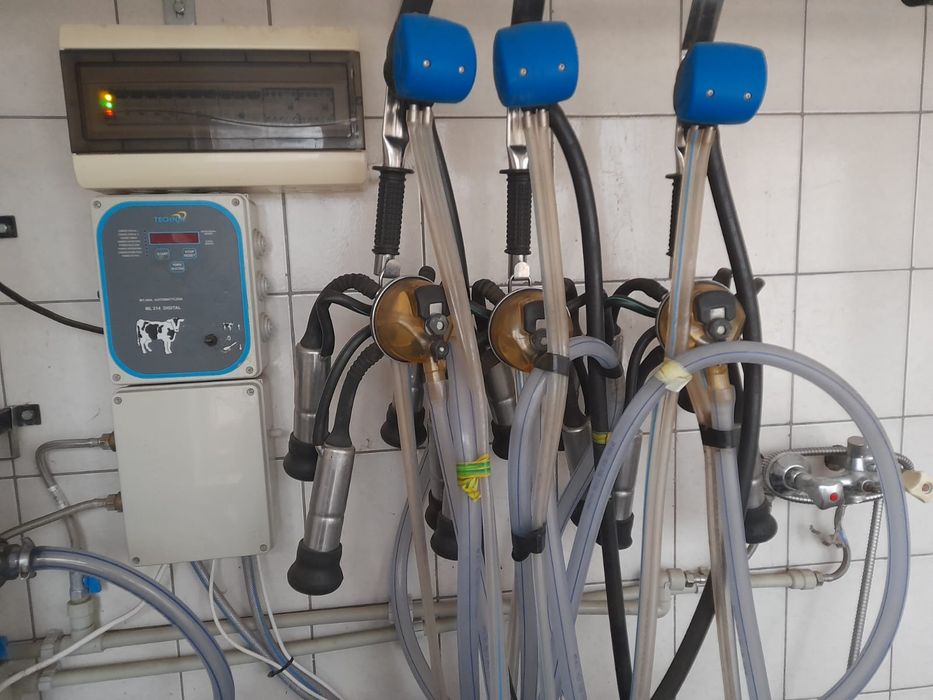 Dojarka przewodowa alfa-laval (likwidacja)