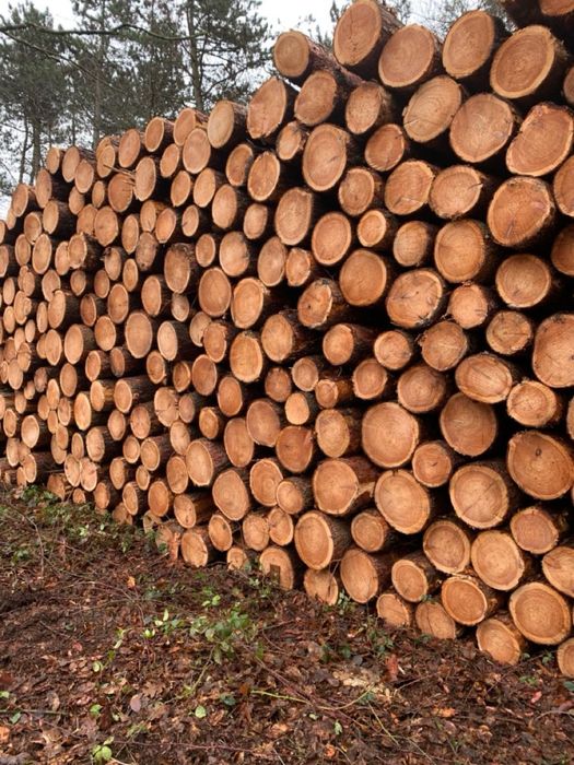 Дрова Акация Дуб Ясень Тополь Берест (доставка +выгрузка ЗСУ скидка )